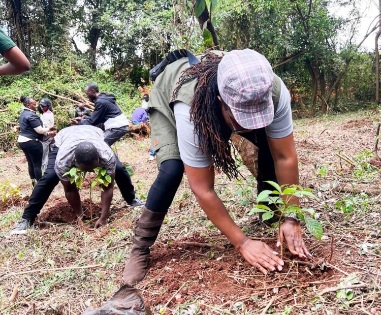 Authority marks Mazingira Day 2025 through tree planting