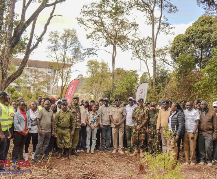 PBORA Staff pause for a group photo with KFS officers at the Ngong Road Forest. The Authority pledged to adopt an acre of forest land to grow trees.